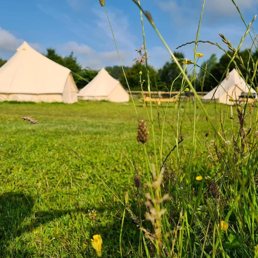 Bell Tent Glamping At Marwell Resort 温切斯特 外观 照片